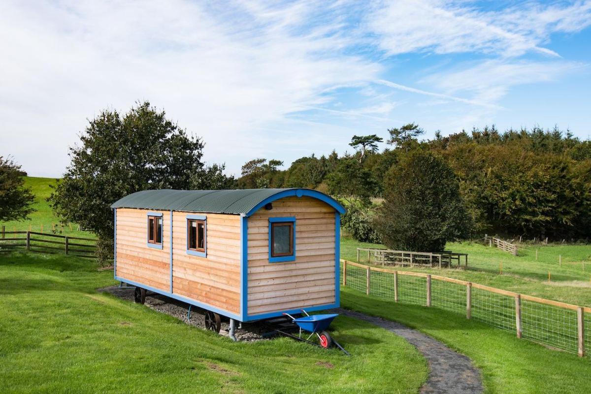 Cow Parsley Shepherd'S Hut Berwick Upon Tweed Exteriér fotografie