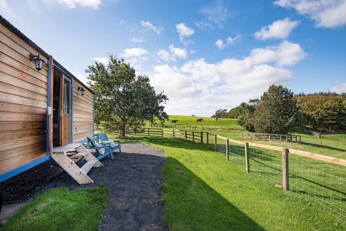 Cow Parsley Shepherd'S Hut Berwick Upon Tweed Exteriér fotografie